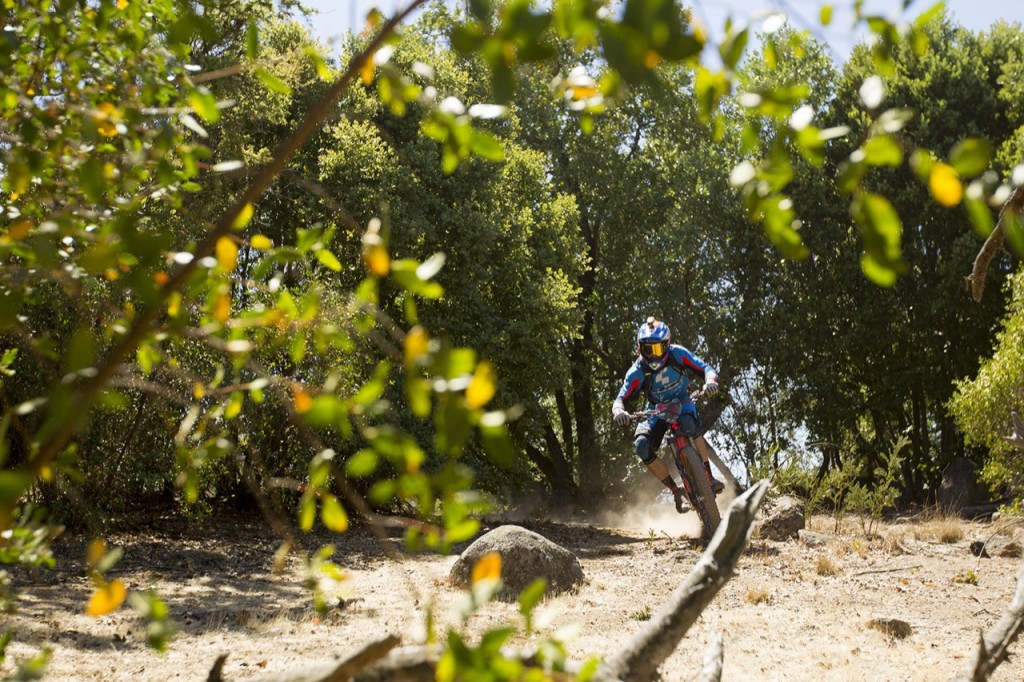Andes Pacifico 2015