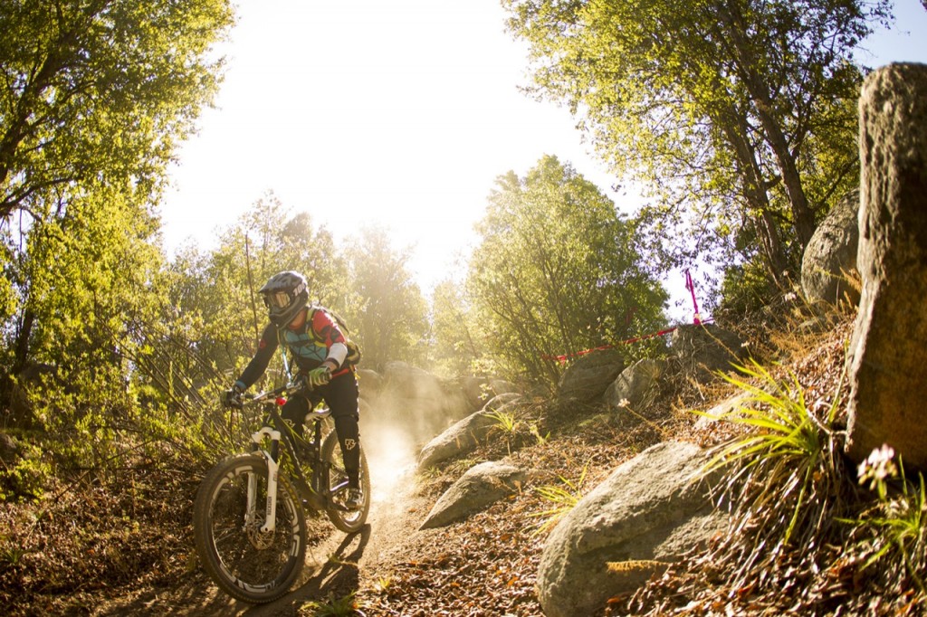 Andes Pacifico 2015